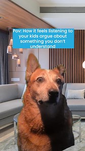 10K views · 72 reactions | Need a kid translation app | Dadsnet | Facebook