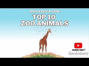 TOP 10 ZOO ANIMALS | Meet Our Top 10 Favorite Zoo Animals: From African Elephants to Koalas!