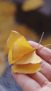 How to make a butterfly from maple leaves