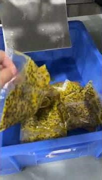 VFFS packing machine #factory #machine #cleanerfillingmachine #floorcleanerfillingmachines #copper