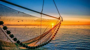 EUROPEAN FISHING ALLIANCE UNDERLINES THE IMPORTANCE OF DEMERSAL FISHING