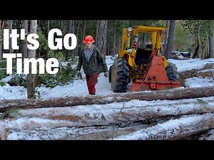 Finally The Best Time For Logging is Here