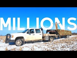 Young farmer makes MILLIONS off of HAY? (I Don't)