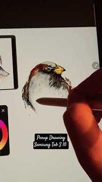 App Penup. Drawing Tablet Samsung Tab S 10 FE .