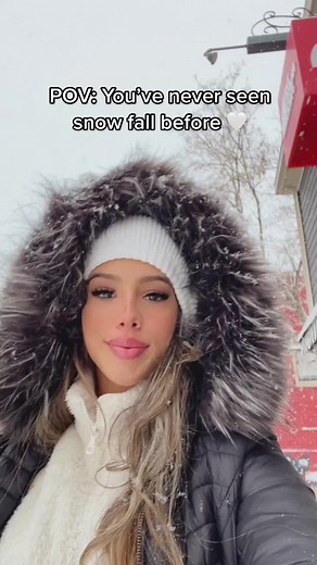 Captivating Snowfall Experience