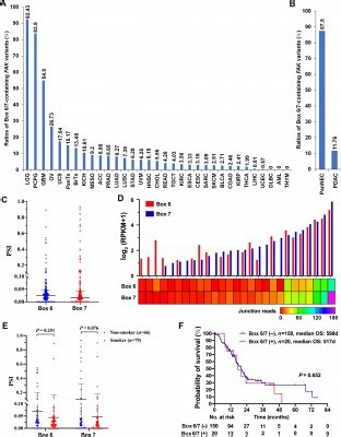 High Frequency of Alternative Splicing Variants of the Oncogene Focal Adhesion Kinase in Neuroendocrine Tumors of the Pancreas and Breast | Newswise