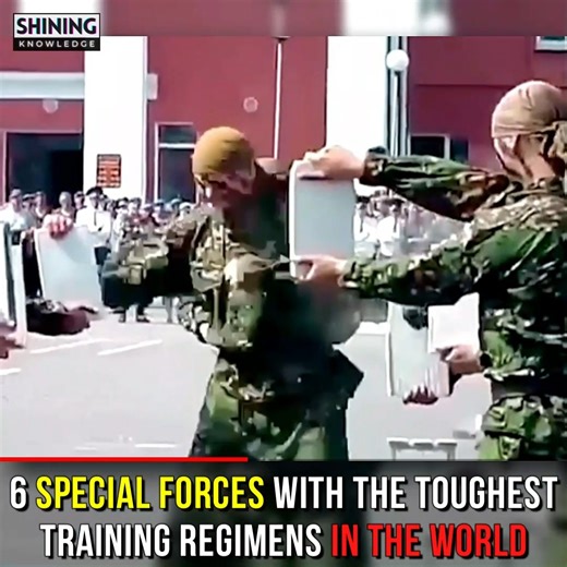 6 Special Forces With The Toughest Training Regimens In The World | Shining Knowledge