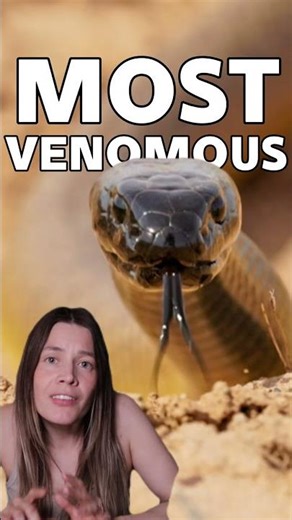 50x More Toxic Than a King Cobra!? #venomouscreatures