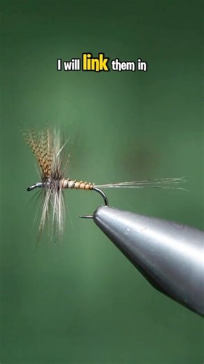 Brian Smith on Instagram: "Part 2: Riseform Hackle! Go follow @magpieflytying Hook: @AhrexHooks FW501 size 14 Thread: Textreme 8/0 regular Body: Magpie Materials Turkey Biot Hackle: Riseform dist. By Magpie Tail: Riseform dist. By Magpie Wings: Wood duck #Textreme #TextremeTeam #TextremeFlyFishing#TextremeFlyTying #TextremeAddict #flytying #magpieturkeybiots #magpiefinebeaverdubbing #whitingfarms #naturesspiritflytying #lidrig #fly #flytyingjunkie #flytyingtutorial #flytyingaddict #flytok #satis