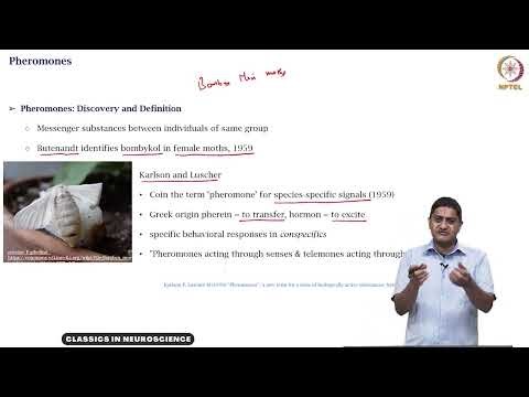 Pheromones #swayamprabha