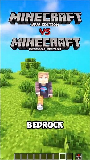 minecraft java vs bedrock #minecraft #shorts #short
