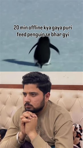 Atul sethi on Instagram: "Sab famous ho rhe hai merk reels ke alawa😭 #penguin #animal #viral #india #new"