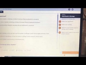 Chapter 1 LAB Applying the Scientific method – Pillbug preference - A&P 1