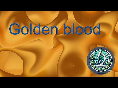 Golden Blood: The Rarest Blood In The World