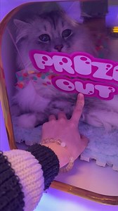 Mystery Treasure in the Claw Machine - Day 34
