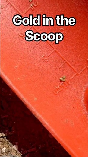 Gold in the Scoop !!! #metaldetecting #goldprospecting #mining