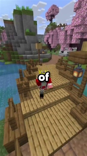 What is the best minecraft server?