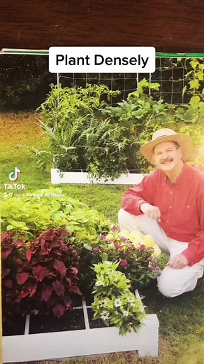 Plant Densely for Successful Square Foot Gardening