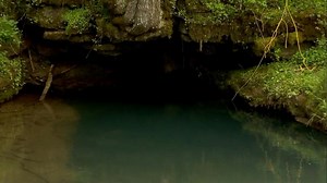 Desperate underwater cave rescue underway for missing diver