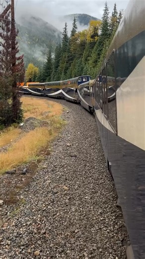 Here are 5 reasons you NEED to take a train trip across Canada: 🔹 You'll see more – On a driving trip, you'll have your eyes glued to the highway. On a train trip, you can sit back and enjoy the views! 🔹 Trains go to the centre of most Canadian cities – Trains often arrive near the downtown core, close to all the top hotels, shopping, dining and sightseeing. 🔹 You'll make new friends – You can relax in the dining cars and viewing areas on the train and get to know your fellow travellers from 