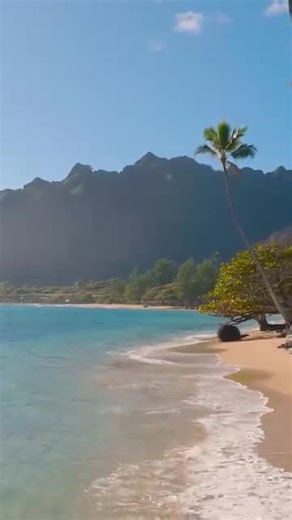 Aloha from the island where dreams meet the sea 🌊🌴 https://bit.ly/polyad2025 Follow Aloha Stoked Follow Hawaiian Islands Follow Experience Hawaii Media 🎥@jfxmediahi #Hawaii #AlohaState #HawaiiLife #ExploreHawaii #HawaiiVacation #HawaiiLove | Experience Hawaii Media