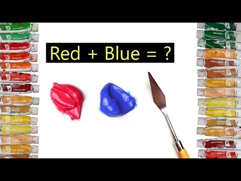 Red + Blue = ? | Amazing Color Mixing Experiment