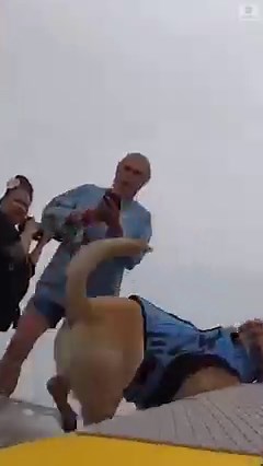 69K views · 187 reactions | SURF'S UP: Dogs were riding the waves in the World Dog Surfing Championship in California—even pulling the board to and from the water. | ABC News | Facebook