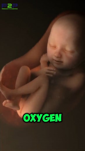Inside the Womb: How Babies Get Oxygen 🌬️👶 #Pregnancy #pregnancyjourney #PregnancyToParenting | Pregnancy to parenting