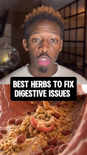 Understanding Root Causes of Gut Health Issues