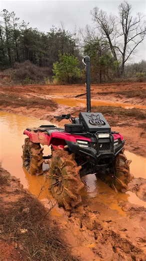Digging with Bubbarig: An Epic Adventure