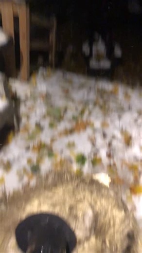 Help…….Freddy didnt pay the animatronic rent 🫨 #fnaf #goldenfreddy #freddyfazbear #flop #cosplay #cringe | Yovska