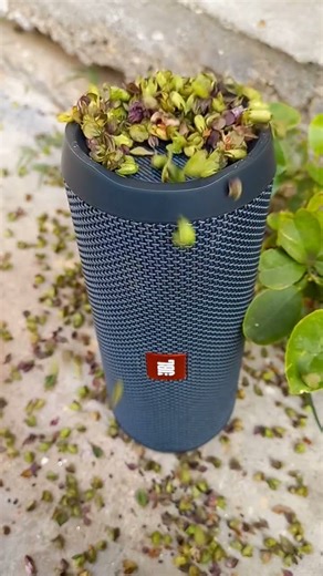 Jbl Bass Test 😚🔊