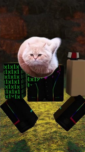 hovering kitty haha #roblox #animation #hovering cat