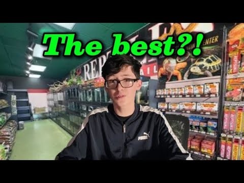 The BEST place to buy a pet reptile!