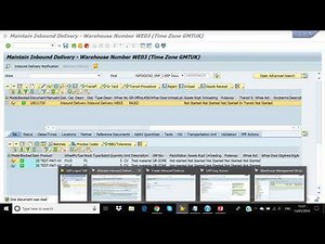 SAP EWM Inbound Demo by Rajaram
