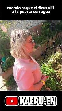 How to Yamadori