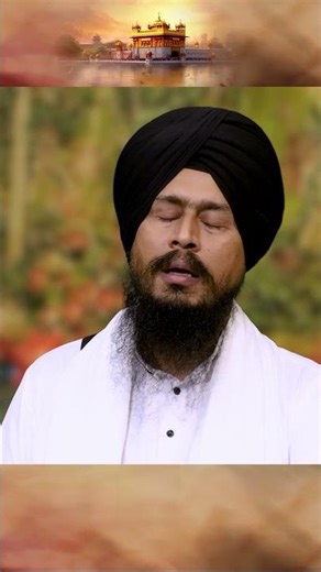 Mool Mantar Jaap | Ek Onkar Satnam Karta Purakh | Guru Nanak Dev Ji | Gurbani Shorts