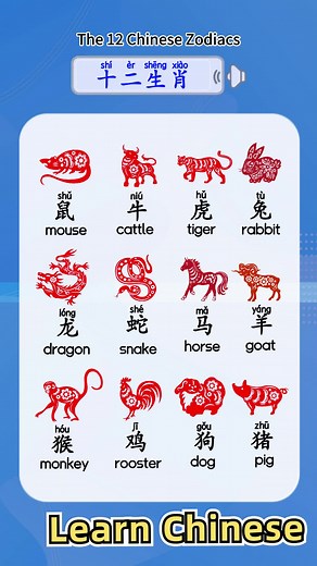 The 12 Chinese zodiacs in Chinese.#Chinese #learnchinese #studyinchina #mandarin