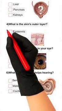 Anatomy quiz - Quiz part 182