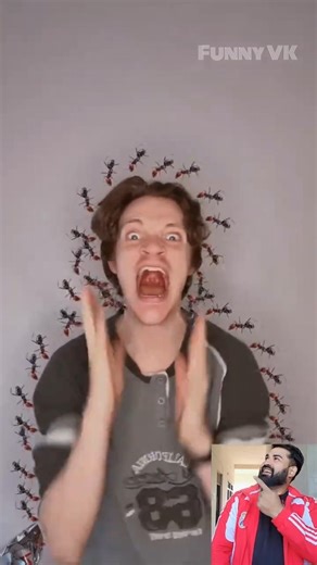 Ant Invasion One Piece Bounty 1M🥶🤯 #trollface #filter #edit #memeedit #funny #trending