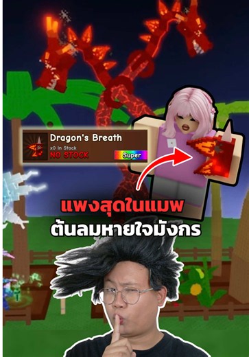 เมล็ดลมหายใจมังกรที่แพงที่สุดในแมพ จะเป็นยังไง !! #roblox #เกมโรบอก #growagarden2 #เกมปลูกผัก