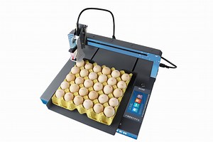 [Hot Item] Automatic Egg Inkjet Printer Small Full Plate Inkjet Printing Production Date Serial Number Egg Duck Egg Inkjet Printer