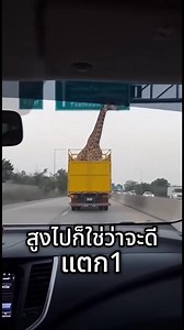 4.2M views · 98K reactions | Aem Aem on Reels | Facebook