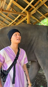 Short interview with Eh La | Pi Jue