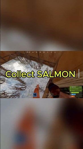 Fish trap scrap farm #rust #rustclips #rustgame #rustshorts #scrapfarm #scrap #fishtrap #rustzon3