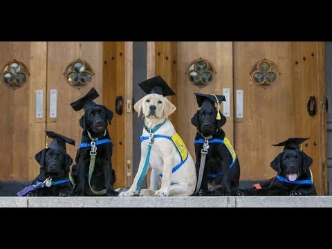 Graduation Ceremony | North Central Region | February 7, 2025 | Canine Companions
