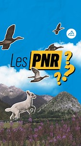 🌳 Les PNR, c’est quoi au juste ? On vous dit tout en vidéo ! 🥇 Avec 10 parcs naturels régionaux, la Région Auvergne-Rhône-Alpes est la 1ʳᵉ région de France en nombre de PNR. #AuvergneRhoneAlpes #nature #parcs #patrimoinenaturel | Région Auvergne-Rhône-Alpes