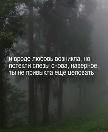 Discover Amazing Song Lyrics for Lip Syncing