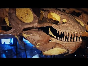 Hidden Wonders of the Natural History Museum (4K Documentary)