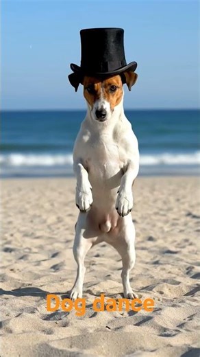dog dance in beech